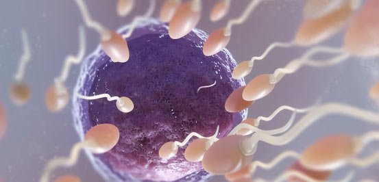 Symptoms That Indicate You Need Dysmenorrhea Treatment